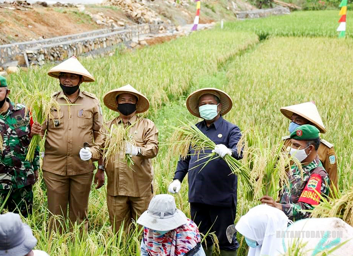 Pjs Bupati Kabupaten Kepulauan Anambas ikut menanam padi
